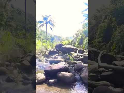 The sounds of river water flowing for sleep #nature #river #riversounds #relaxing #soothingsound