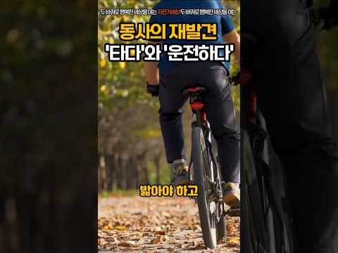 동사의 재발견 : ‘타다’와 ‘운전하다’ #자전거운전 #자전거세상 #언어의재발견