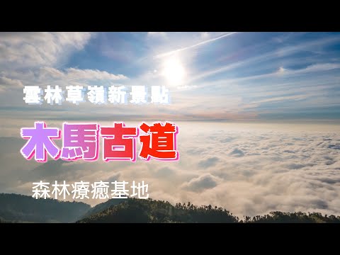 雲林草嶺『木馬古道』可看度贏『雲頂之丘』十分親民的步道