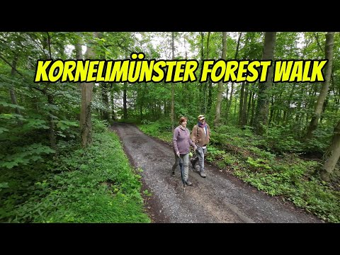 Kornelimünster Forest Walk