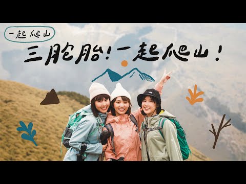 三胞胎！一起去爬山！⛰️@WINNIBao@Qun77@kid7fat 🏵 李佳穎