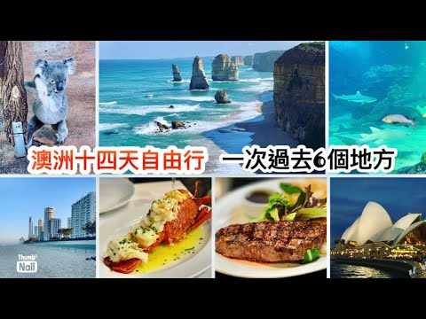 澳洲自由行 ｜ 十二門徒石 澳洲美食記錄 悉尼水族館 布里斯班龍柏動物園親近樹熊 黃金海岸沙灘 ｜ 由墨爾本開始 大洋路 悉尼 黃金海岸 摩頓灣 布里斯班 《醉男旅行記錄-澳洲旅遊》