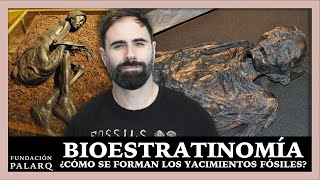 Bioestratinomía: La Ciencia Forense de la Paleontología