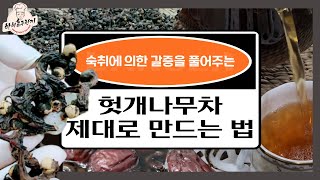 주당들이 즐겨마시는 🧡간에 좋은차! 헛개나무차! 헛개나무열매차! 헛개나무 효능 알아보기