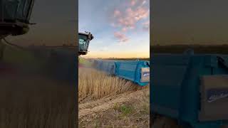 #youtubeshorts #agriculturalmachinery #modernfarm #modernfarming