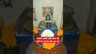 सबसे अच्छी राशि कौन सी होती हैं, महादेव की कृपा हो #viral #horoscope #astrology #rashi #mahadev #yt