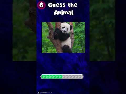 "How Good Is Your Knowledge of Animals? 🐾 Test Yourself Now!"|The Quiz Show