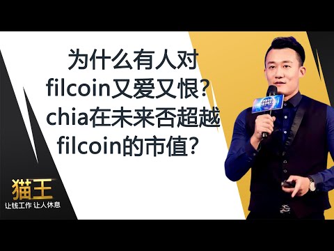 为什么有人对filcoin又爱又恨？chia在未来否超越filcoin的市值？