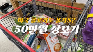 미국 일상🇺🇸 콜로라도 물가는? 한인마트 50만원 장보기💸 초간단 허니콤보 만들기🍗 소소하지만 행복한 주말 브이로그❤️