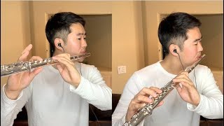 A Whole New World - Aladdin Flute Cover