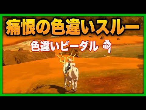 【ポケモンアルセウス】色違いに気づかずスルーするぐちつぼ【#ぐちつぼ切り抜き】