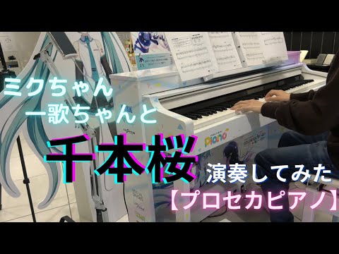 【プロセカピアノ】普通の男子高校生が初音ミクちゃんと星乃一歌ちゃんと千本桜演奏してみた inヤマハミュージック名古屋店(高音質)