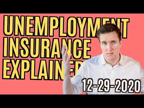 $300 Unemployment Insurance EXPLAINED | Stimulus Unemployment Insurance (PEUC, PUA, UI)