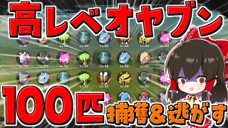 【レジェンズアルセウス 】高レベルのオヤブンポケモン100匹捕まえて報告した結果！？検証【ゆっくり実況/Pokémon LEGENDS アルセウス】