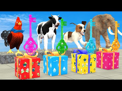 Cartoon Elephant, Dog, Cow Chicken Dinosaur Guess The Right Gift Box Challenge With Mystery Key