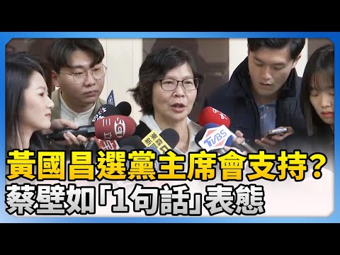 黃國昌選黨主席會支持？　蔡壁如「1句話」表態 @ChinaTimes