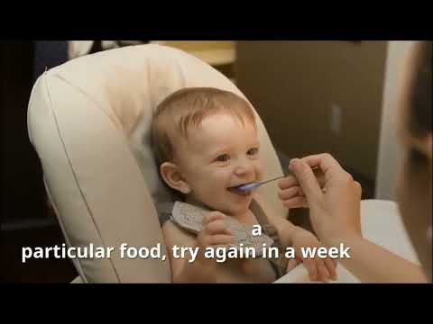 Starting Solids Guide Safe & Nutritious First Foods for Babies