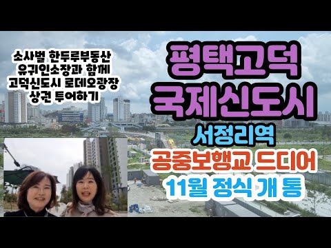 평택고덕신도시- 서정리역 공중보행교 11월 개통 마무리공사중