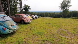 What did I buy? VW Beetle Collection