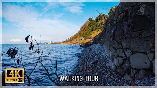 Black Sea Beauty: 4K Hike from Botanical Garden to Rail Station | #walkingtour #ambientmusic