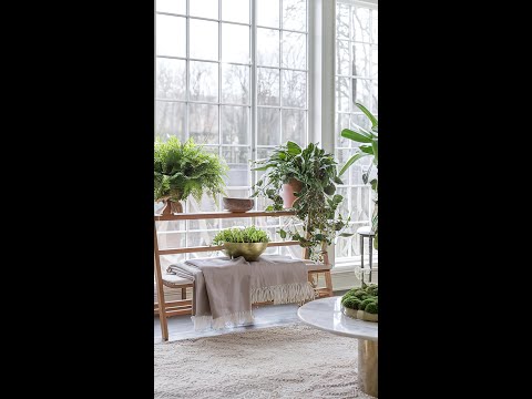 I can’t get enough of these plant styling ideas! 🌿💕 | Beautiful & Timeless Decor