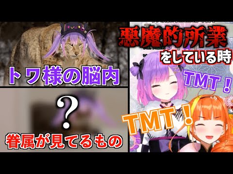 【#1MT】悪魔的所業をしていると思っていても結局TMTなトワ様【ホロライブ切り抜き】