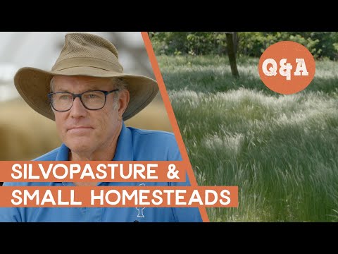 Establishing Silvopasture & Small Homestead Tips | Q&A with Joel Salatin