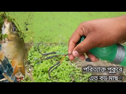 Amazing Fishing in a abandoned pond | Traditional Hook Fishing | পরিত্যাক্ত পুকুরে এমন মাছ কিভাবে ?