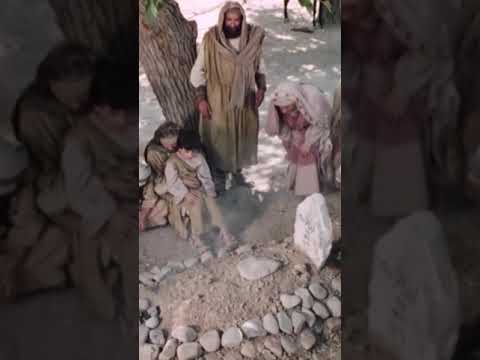 Prophet Joseph Lost His Mother | Prophet Joseph #shorts