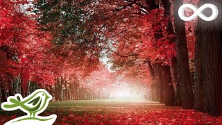 Autumn Colors: Beautiful Romantic Music with Piano, Cello, Guitar & Violin by Peder B. Helland