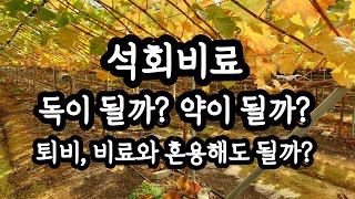 11월 포도밭 #석회비료 사용 독이 될까? 약이 될까? 퇴비혼용? 비료혼용?