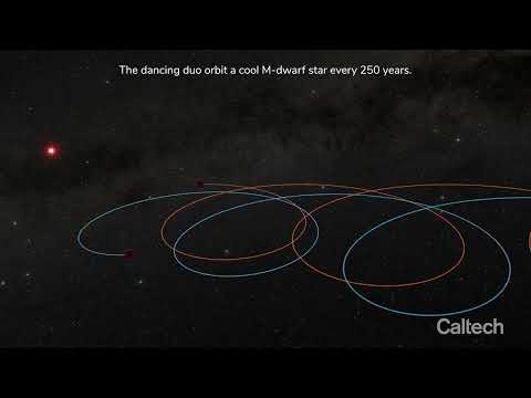 Brown Dwarf Duo Orbits Cool Star