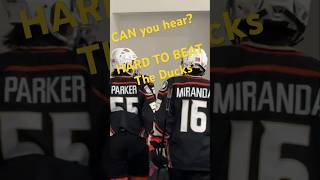 Can you hear it? It's HARD  to beat The Ducks. #hockey #hockeyfamily