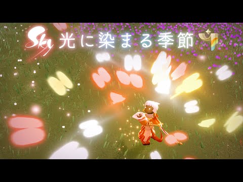 Sky 星を紡ぐ子どもたち『光に染まる季節』トレーラー