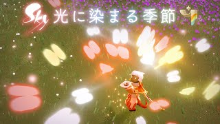 Sky 星を紡ぐ子どもたち『光に染まる季節』トレーラー