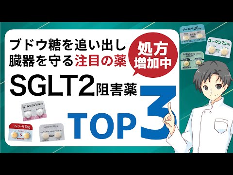 【2024年最新】SGLT2阻害薬ランキング！知らなきゃ損する特徴や医師が選ぶ理由【薬剤師が解説】