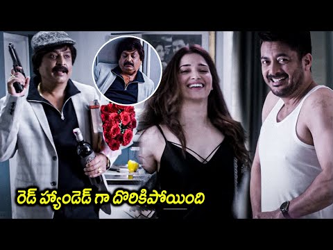 Maestro Movie Tamannaah And Jisshu Sengupta Interesting Scenes || Naresh || Matinee Show