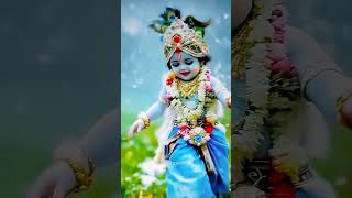 मेरे नटवर कृष्ण कन्हैया ❤ #shorts #viral #bhajan #Krishna #love #youtubeshorts