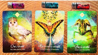 WHAT TYPE OF LOVE ARE YOU ATTRACTING ⭐️ Very Detailed | Your SOULMATE . Oracle