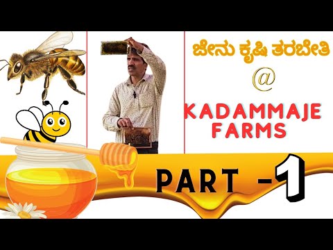 PART 1  Beekeeping Training at KADAMMAJE FARMS