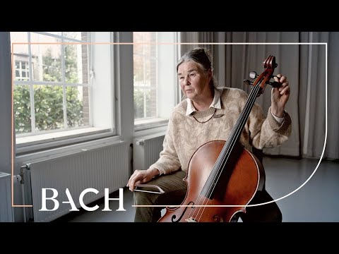 Musicians on pitch | Netherlands Bach Society