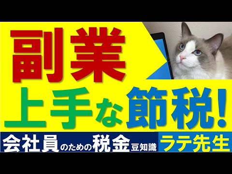 【副業】2ヶ所給与でも個人事業主でもOK＆会社に内緒！/猫好き税理士