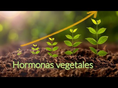 Plant Hormones and Growth Regulators.