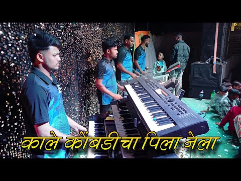 काले कोंबडीचा पिला नेला ✌️🎵 New Daylong // SS MUSICAL DJ PARTY MH Video @rahulbhaiaadiwasi143