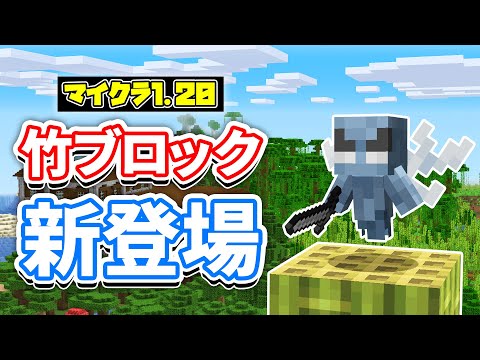 【マイクラ1.20】竹ブロックが新登場＆ヴェックスが大変身！？など詳しく解説！【マインクラフト1.20】SNAPSHOT 22W45A