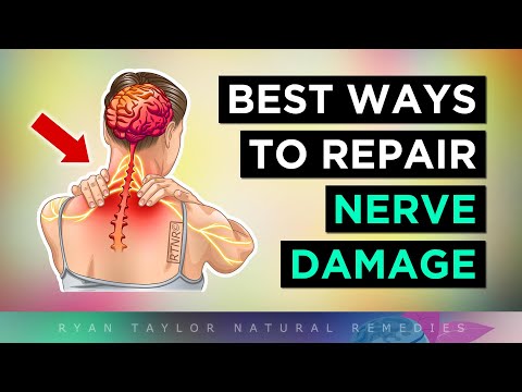 The BEST Ways To REPAIR Nerve Damage (Neuropathy)