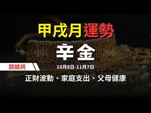 【甲戌月10月運勢】辛金人關鍵詞：正財波動、家庭支出、職場變動、父母健康、投资风险 | 辛金六日柱運勢分析 #運勢  #分享 #王理元