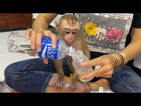 Little cute baby boy sit watching mom mix milk very so cute