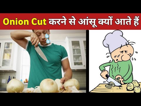 Onion cut करने पर आंसू क्यों आते हैं | #Shorts