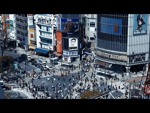 [ASMR]  Tokyo Shibuya Scramble Crossing / Hachiko-mae Ambience